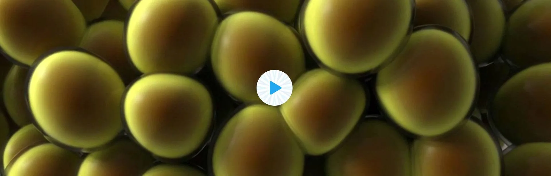 Close-up illustration of fat cells with a play button for CoolSculpting fat freezing in Amsterdam